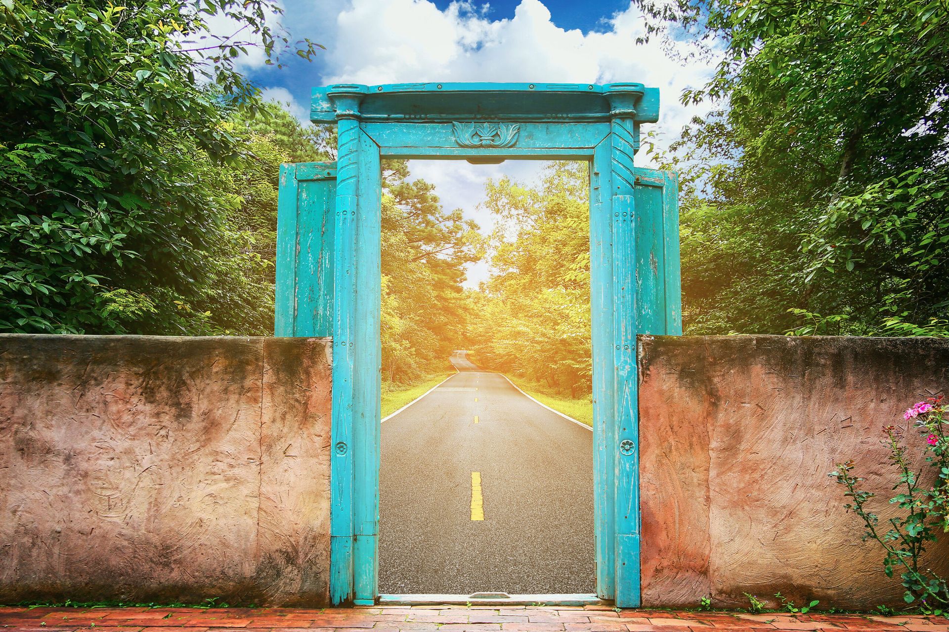 Vintage door with nature background
